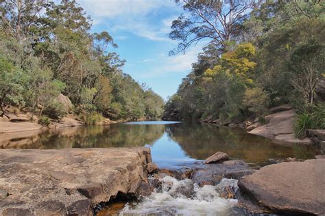 Georges River Nature Reserve - Macarthur