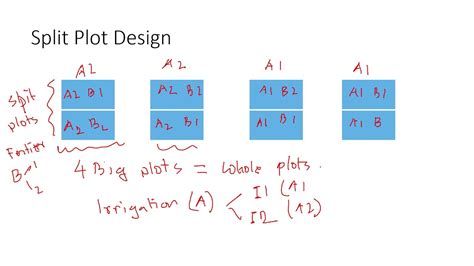 What Is A Split Plot Design - Design Talk