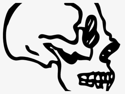 Skull Profile Art Png , Free Transparent Clipart - ClipartKey