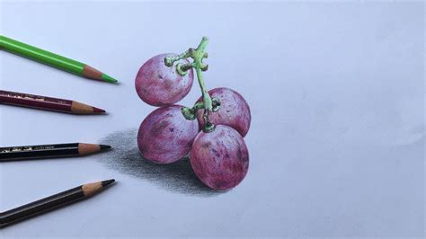 How to draw grapes in color pencils | realistic grapes drawing | fruit ...