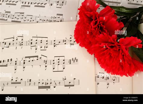 Carnation and notes on paper, a Spanish music background Stock Photo - Alamy