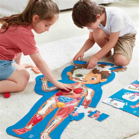 Human Body Puzzle | Anatomy Puzzle | Becker's