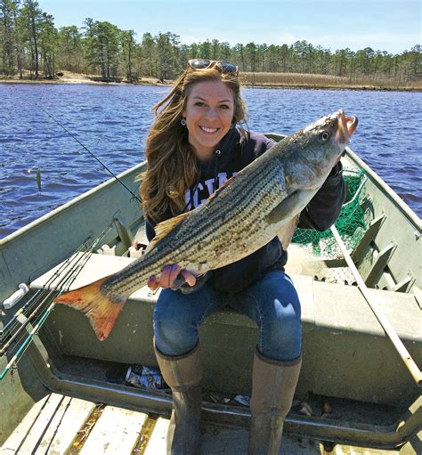 Bass in Back: Creek, River & Bay Stripers - The Fisherman