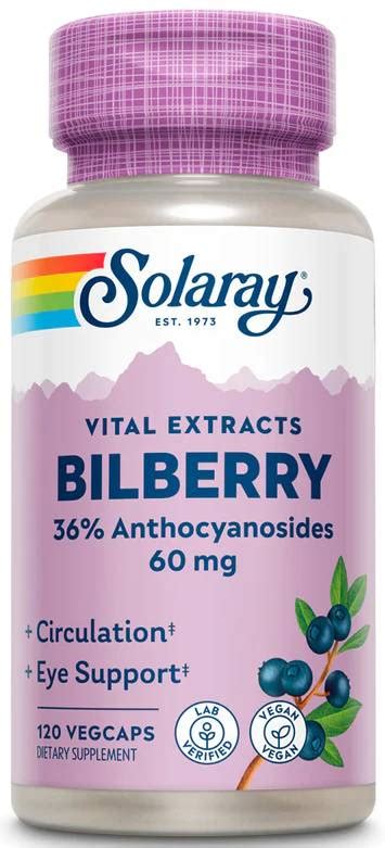 What Are The Benefits Health Of Bilberry Extract - Article