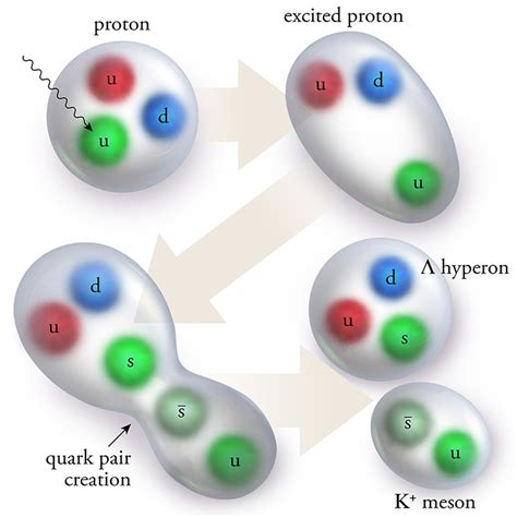 NP Up and Down Quarks Favored Ov... | U.S. DOE Office of Science (SC)