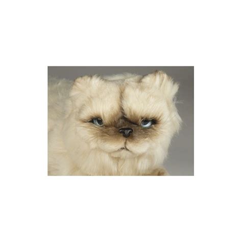 Verdi Himalayan Persian Cat Stuffed Plush Display Prop