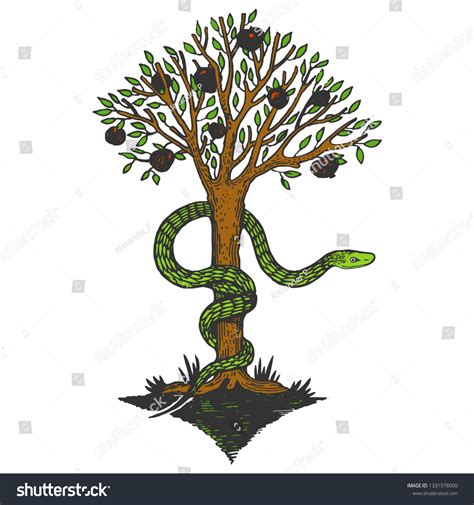 Snake Apple Tree Life Sketch Color Stock Vector (Royalty Free ...