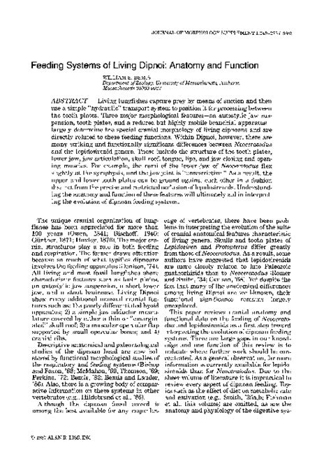 (PDF) Feeding systems of living dipnoi: Anatomy and function | William Bemis - Academia.edu