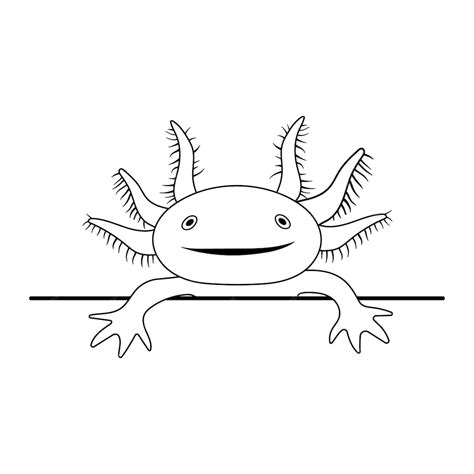 Premium Vector | Vector illustration of axolotl salamander isolated on white peeking cute ...