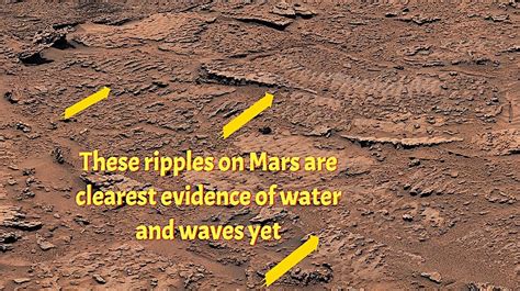 Mars Rover Water