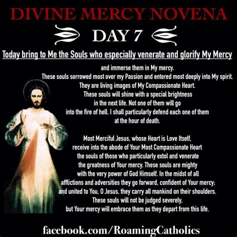 Divine Mercy Novena, Day 7 – From Roaming Catholics | The Catholic Me