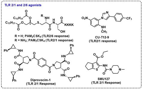 Will TLR Agonists become Next Generation Vaccine Adjuvants?