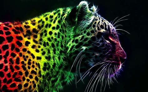 Ultra HD Rainbow Leopard | Ultra HD Wallpapers | Pinterest | Animals and pets, Funny animals and ...