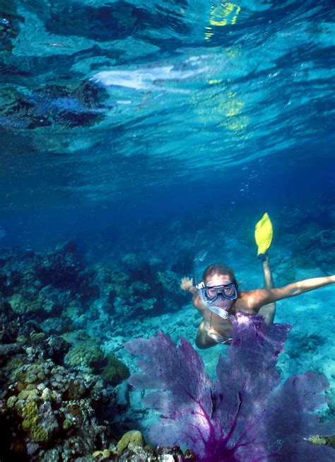 Snorkeling in the Atlantic Ocean (Coral Reef) Photo by Rob O'Neal Unique Destination, Florida ...