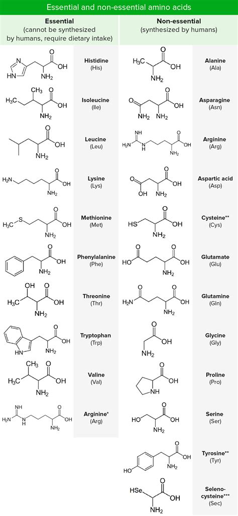 Basics of Amino Acids | Concise Medical Knowledge