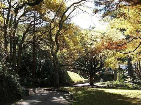 Wellington Botanic Garden, Wellington | Tickets & Tours - 2024