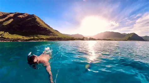 Oahu swimming with dolphins - YouTube