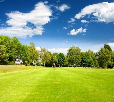 Green grass on a golf field — Stock Photo © majaFOTO #9029643