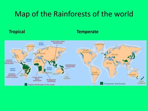 Tropical Rainforest Location World Map