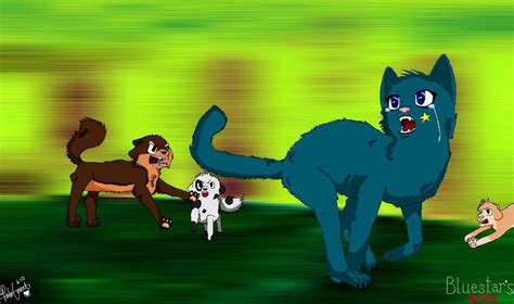 Bluestar's Death by patie9 on DeviantArt