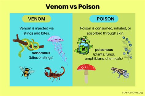 Toxin Vs Venom