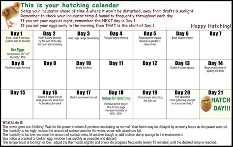 Chicken Crazy in Oregon: Chicken Hatching Calendar