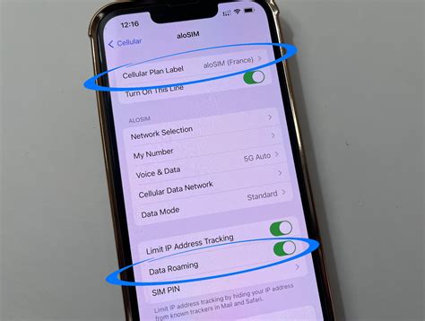 How to avoid data roaming charges on your iPhone | aloSIM