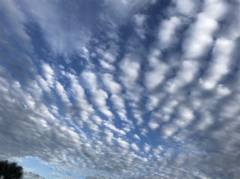 Cirrus Clouds ( i think ) Orlando.Fla [its an iphone 1125x2436 ...