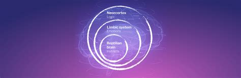 From an outdated “triune brain” to a “theory of constructed emotions ...