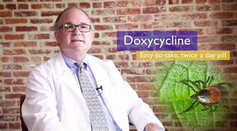 Doxycycline and Lyme Disease Treatment • Johns Hopkins Rheumatology