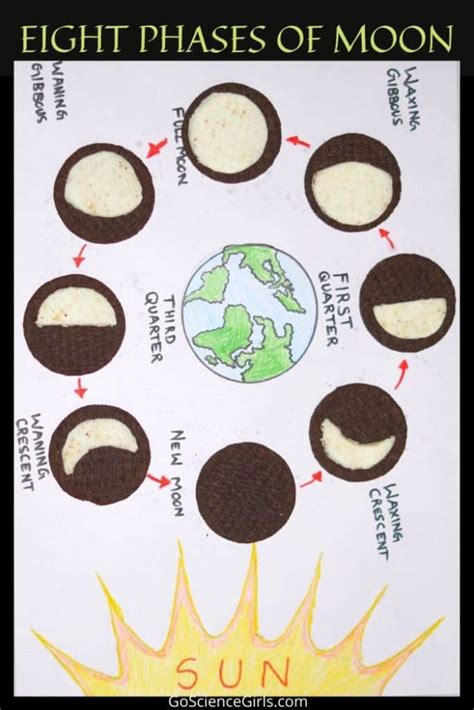 Explore Phases of the Moon Using Oreo Cookies (Worksheets & Lesson Plans)