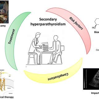 Secondary hyperparathyroidism: treatment, risk factors, and... | Download Scientific Diagram