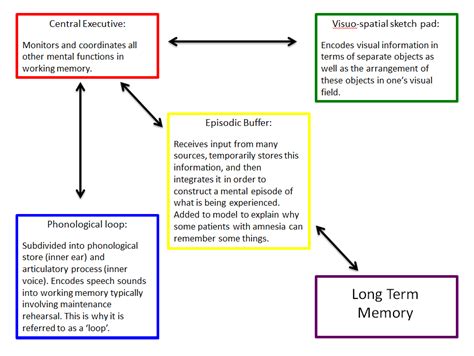 Pin on Ed Therapy