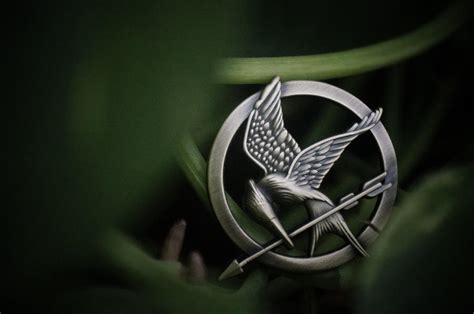 Mockingjay Pin by Kitkatluvspie1329 on DeviantArt