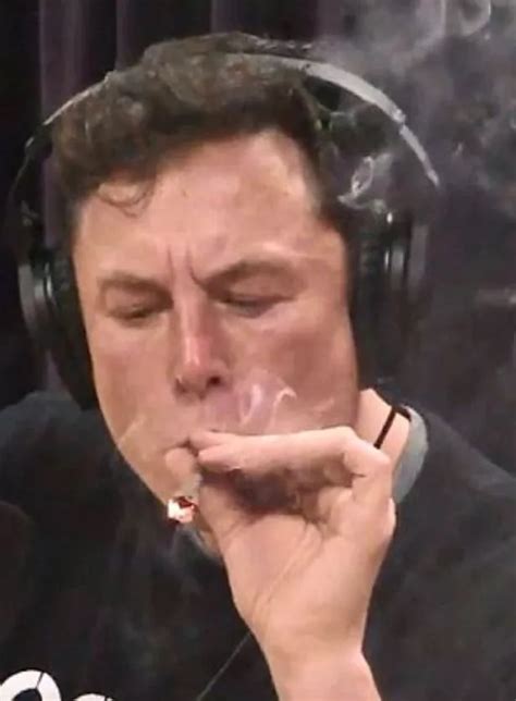 Elon Musk smokes a joint live on YouTube: Tesla CEO inhales marijuana ...