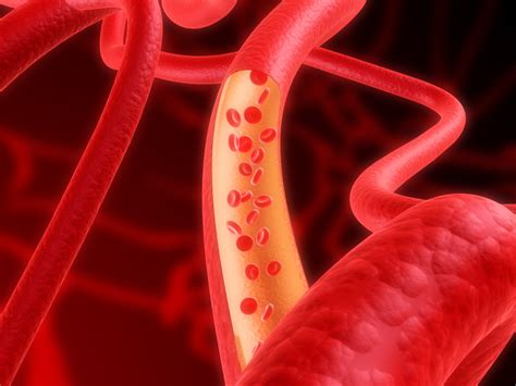 Blood Pressure and Its Regulation - Interactive Biology