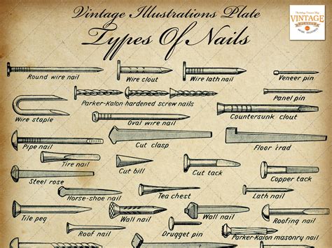 Types of Nails Chart Vintage Diy / Carpentry Digital Image Illustrations, A4 Size, 300 Dpi, Jpeg ...