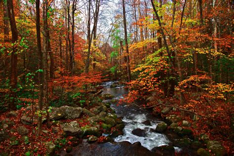 Smoky Mountains Stream with Fall Colors - JoeyBLS Photography JoeyBLS Photography