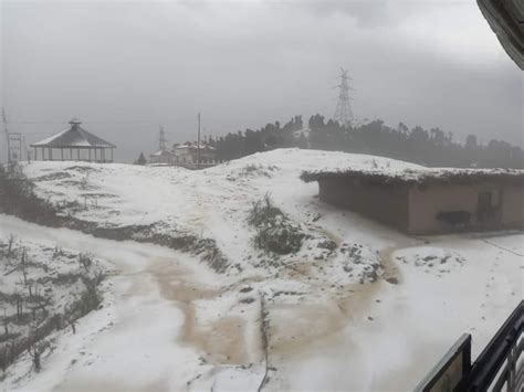 Dalhousie Snowfall: डलहौजी में बर्फबारी, डैणकुंड में भी बिछी सफेद चादर, कारोबारी खुश - Himachal ...