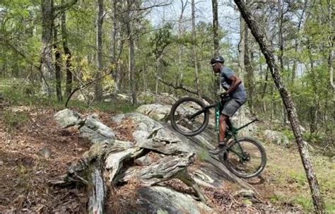 Mountain Biking | Alapark