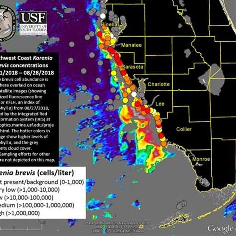 Map Of Florida Red Tide