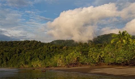 Turismo en Bahia Solano, ¿Cuál es la mejor época para ir? | RCN Radio