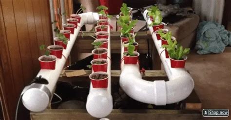 How To DIY PVC Hydroponics Gardening For Awesome Results