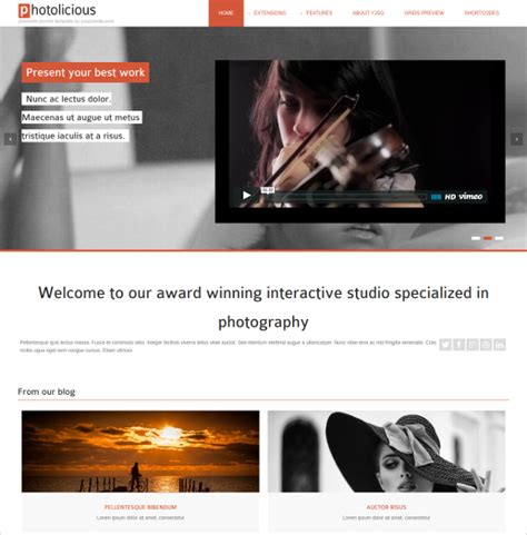 43+ Photography Website Themes & Templates