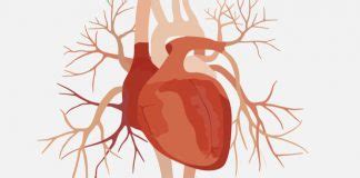 Atrial Fibrillation Treatment Through Home Remedies