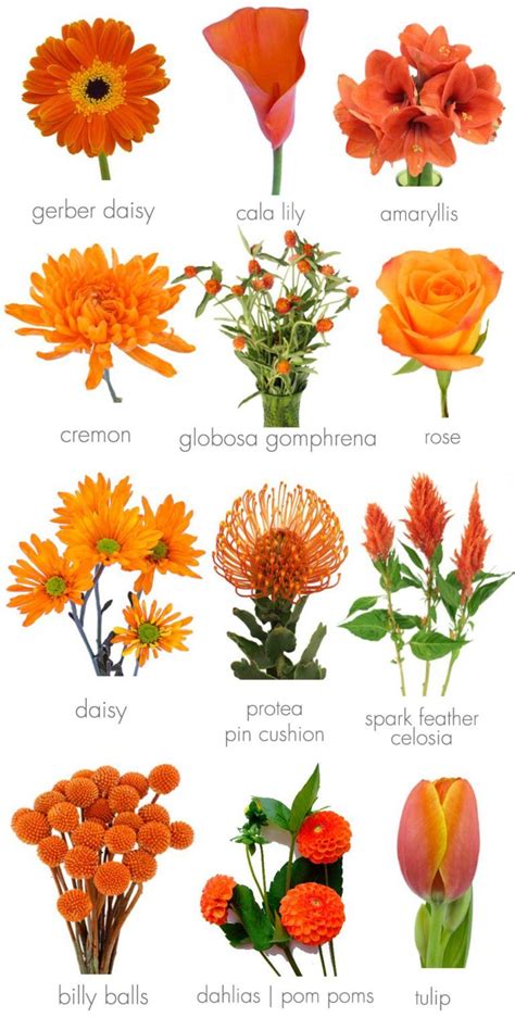 Orange Wedding Inspirations Its an Orange Crush | Orange flowers, Orange wedding flowers ...