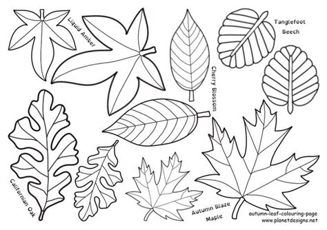 Autumn Leaves Coloring Page for Kids