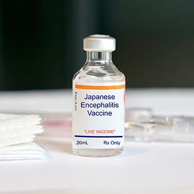 Trial could help stretch Japanese encephalitis vaccine supplies - Faculty of Medicine ...