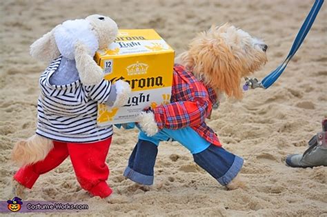 This Brilliant Dog Carrying A Box Of Beer Costume Might Be The Best We've Ever Seen