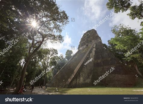 Mayan Pyramid Tikal Guatemala Stock Photo 185447873 | Shutterstock